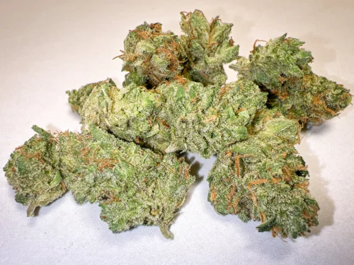Blue Cheese AAA hydro indoor cannabis buds selection blueberry cheese Barney's Farm