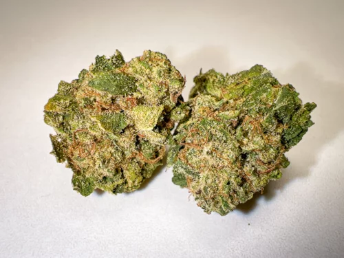 Close up single Blue Cheese Indoor Pops cannabis bud
