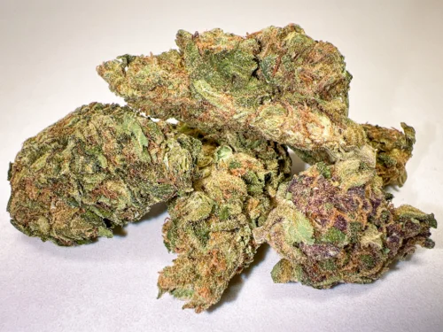 Swazi x Green Crack outdoor cannabis flower selection swazi weed zol