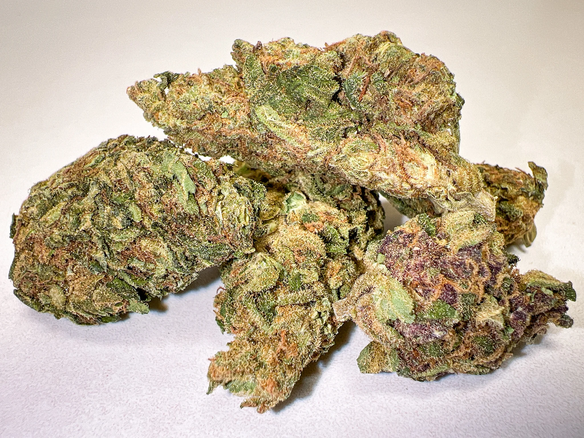 Swazi x Green Crack outdoor cannabis flower selection swazi weed zol