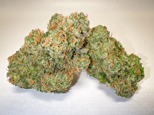 Blue Cheese AAA hydro indoor cannabis buds selection blueberry cheese Barneys Farm