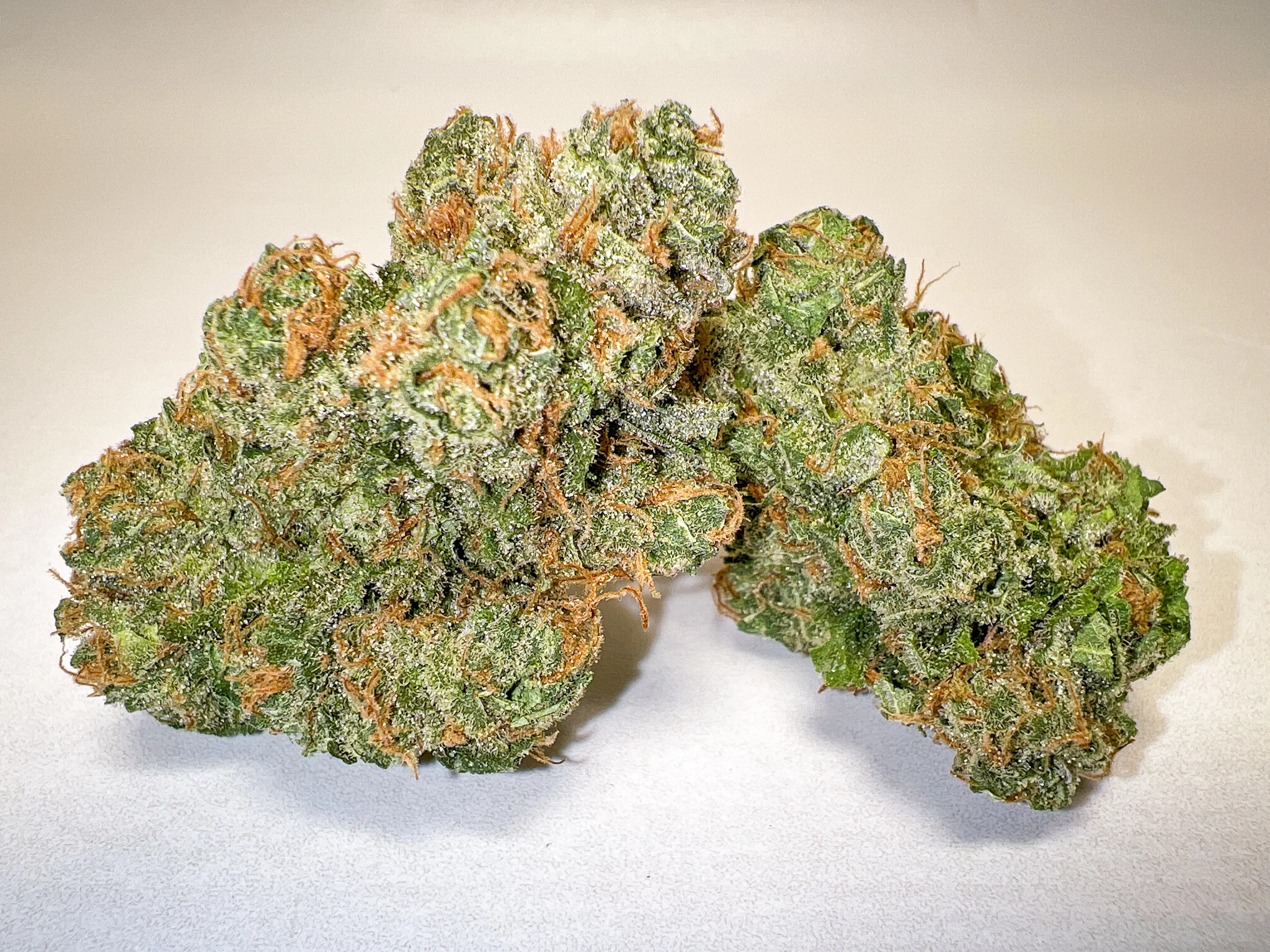 Blue Cheese AAA hydro indoor cannabis buds selection blueberry cheese Barneys Farm