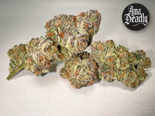 Blue Zushi Amadeadly cannabis bud blueberry candy gas