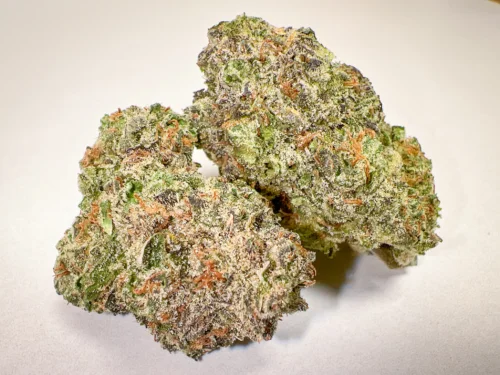Platinum Girl Scout Cookies AAA indoor cannabis buds cookie dough gas