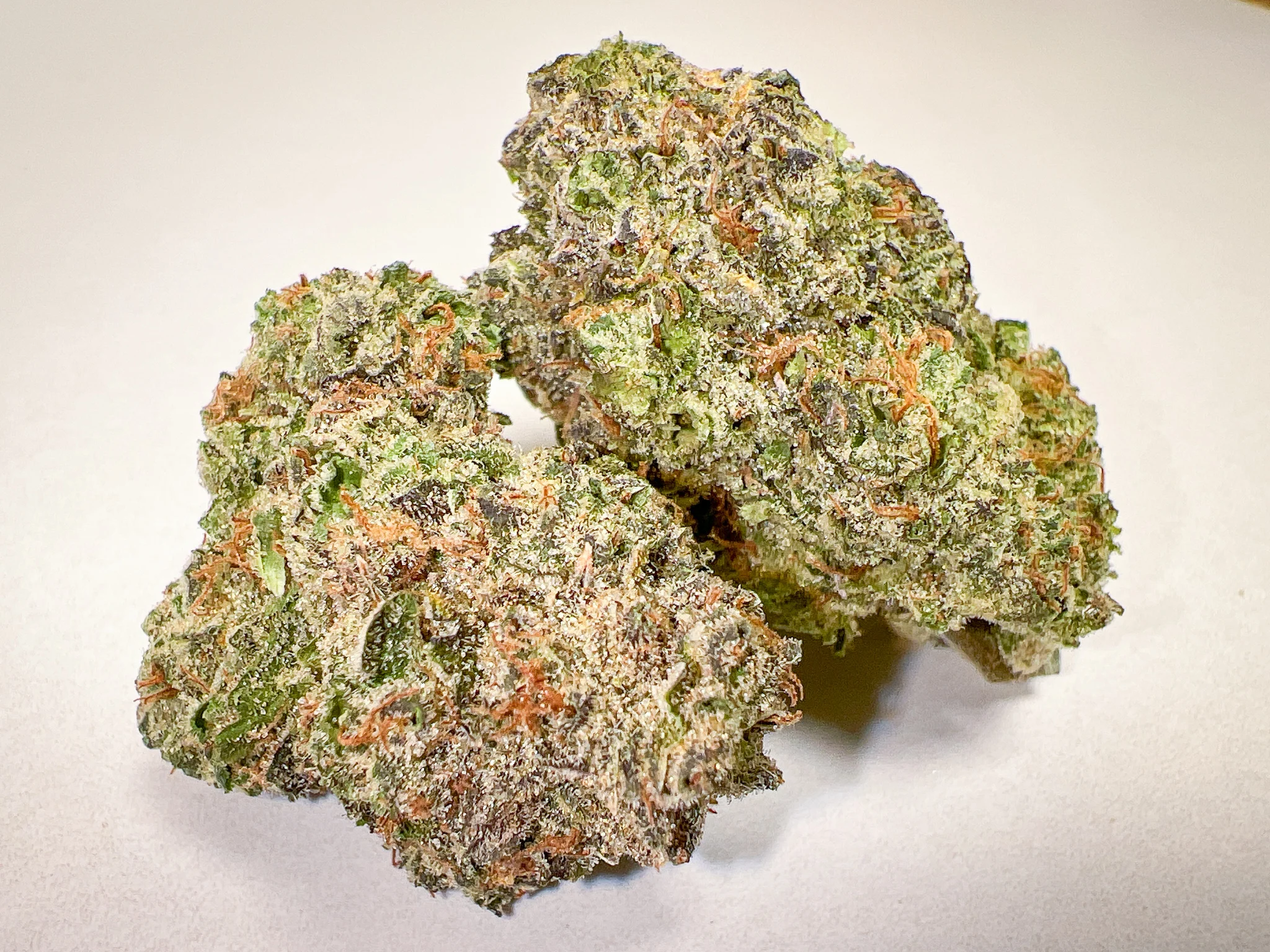 Platinum Girl Scout Cookies AAA indoor cannabis buds cookie dough gas