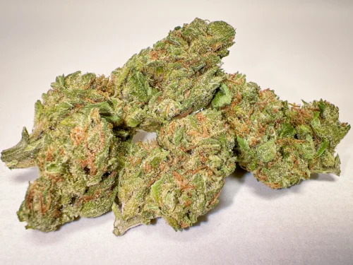 Super Cheese greenhouse cannabis flower selection pungent cheese