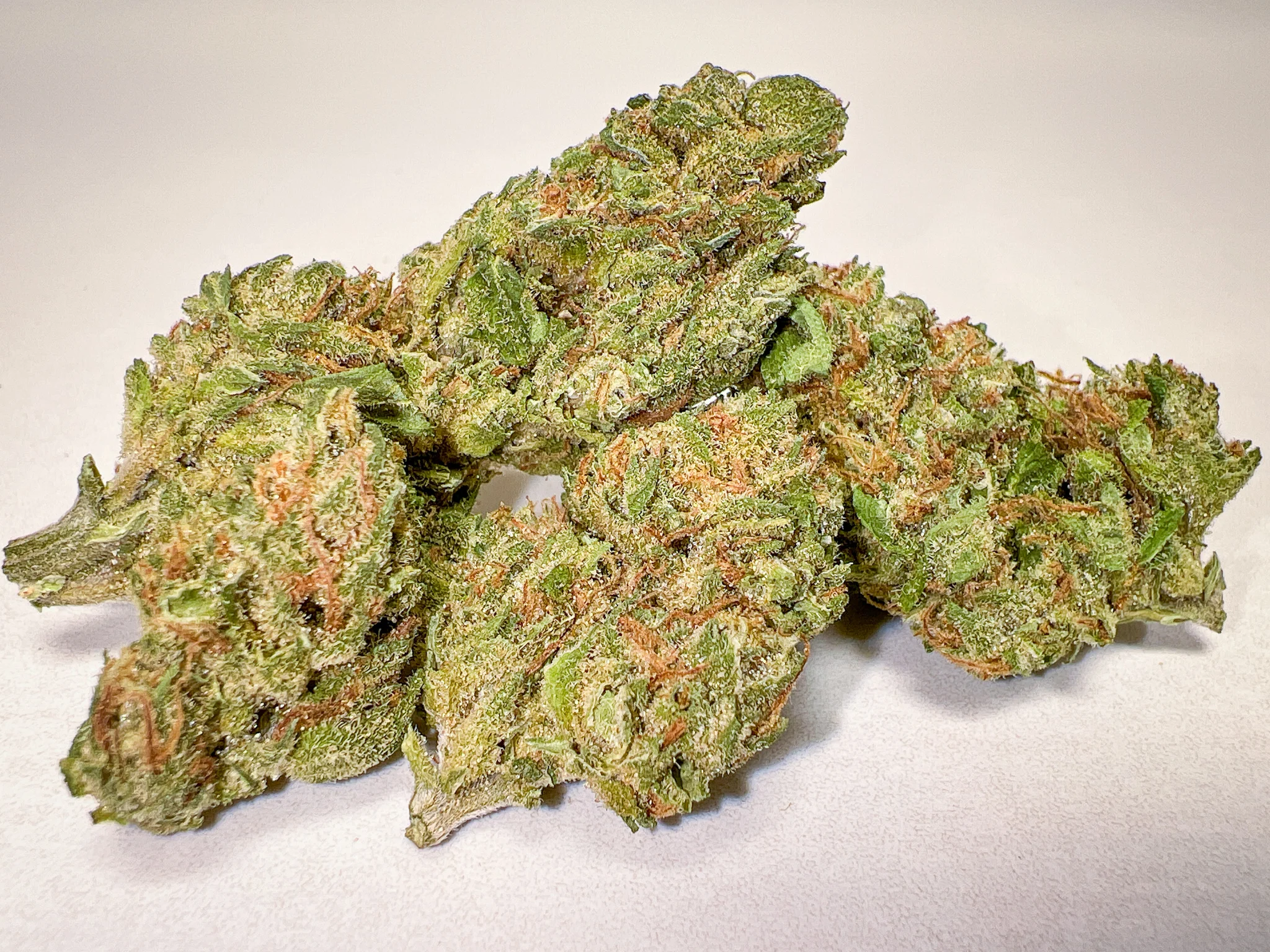 Super Cheese greenhouse cannabis flower selection pungent cheese