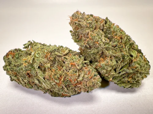 Jack Herer AAA indoor cannabis flower close up pine citrus