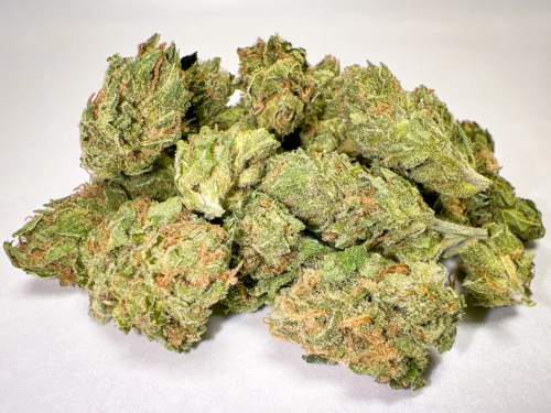 Black Exodus Cheese greenhouse POPS cannabis buds pungent cheese