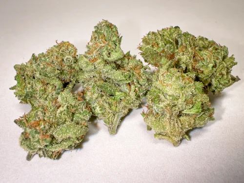 Platinum Girl Scout Cookies POPS cannabis buds cookie dough gas
