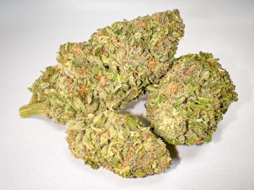 Strawberry Cough greenhouse A-grade cannabis flower solid heads strawberry