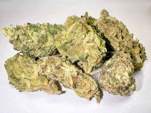 Swazi x White Rhino outdoor cannabis flower selection swazi weed zol
